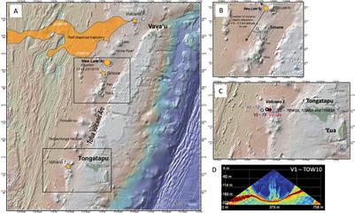 Impact of submarine volcanic versus hydrothermal activity onto the strontium and lithium isotopic signatures of the water column (TONGA)